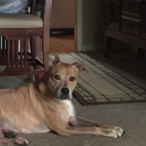 Meet your Posher, David - Picture 1 of 1